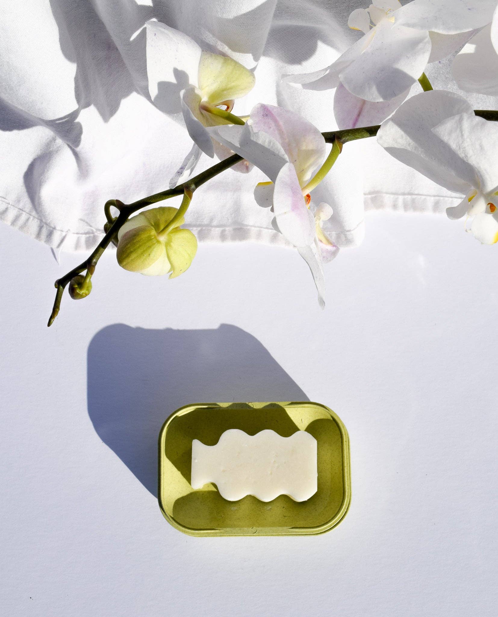 Biodegradable Soap Case: Coconut