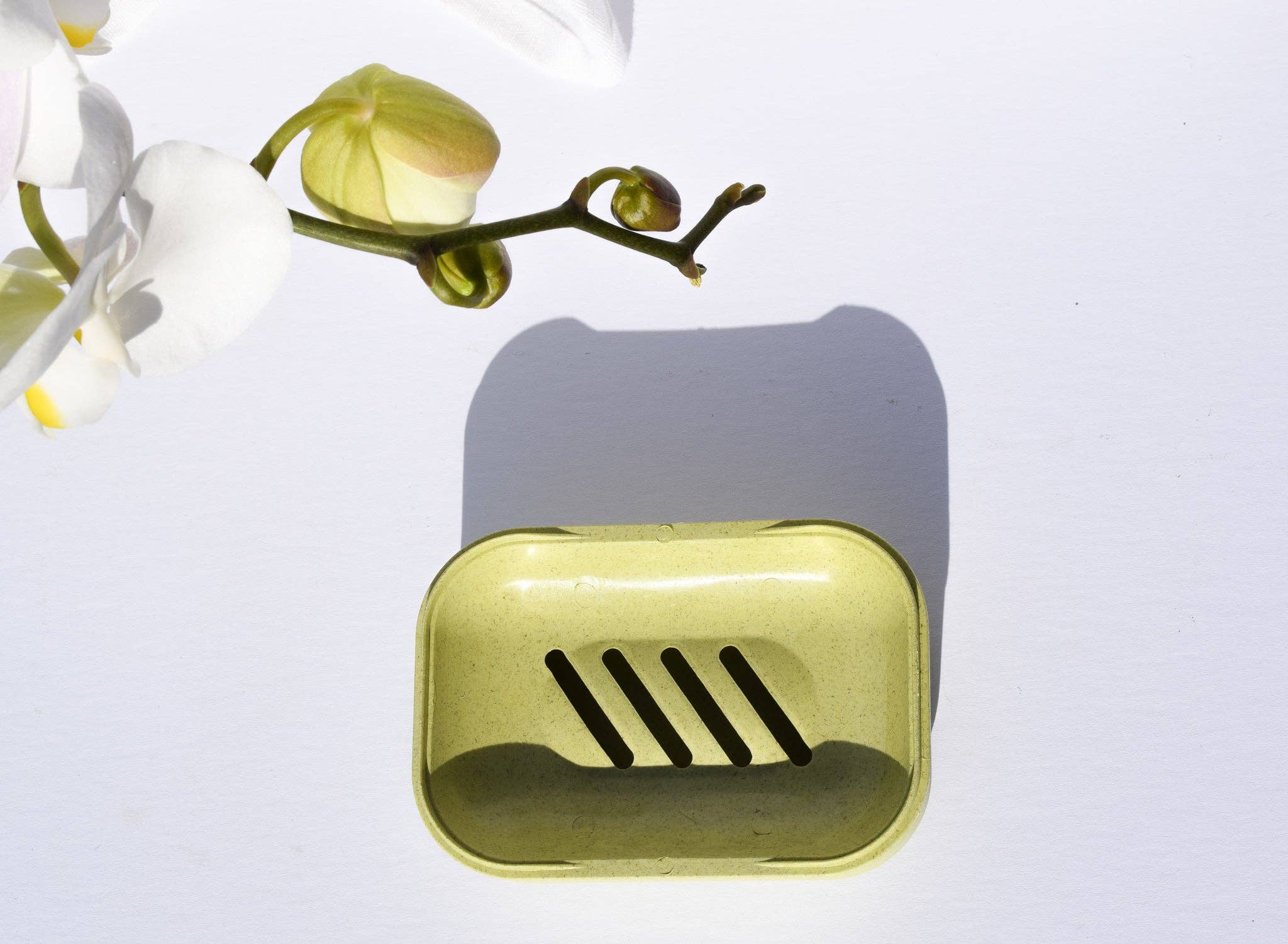 Biodegradable Soap Case: Coconut