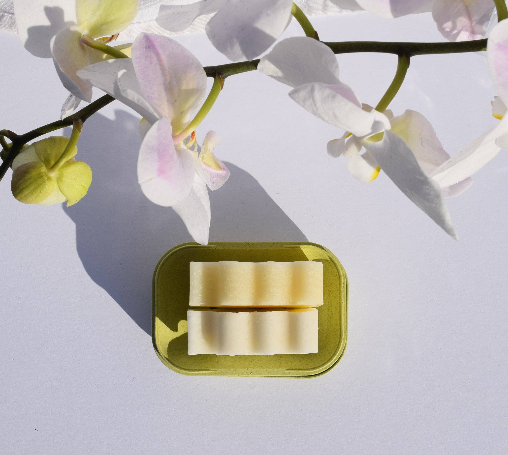 Biodegradable Soap Case: Coconut