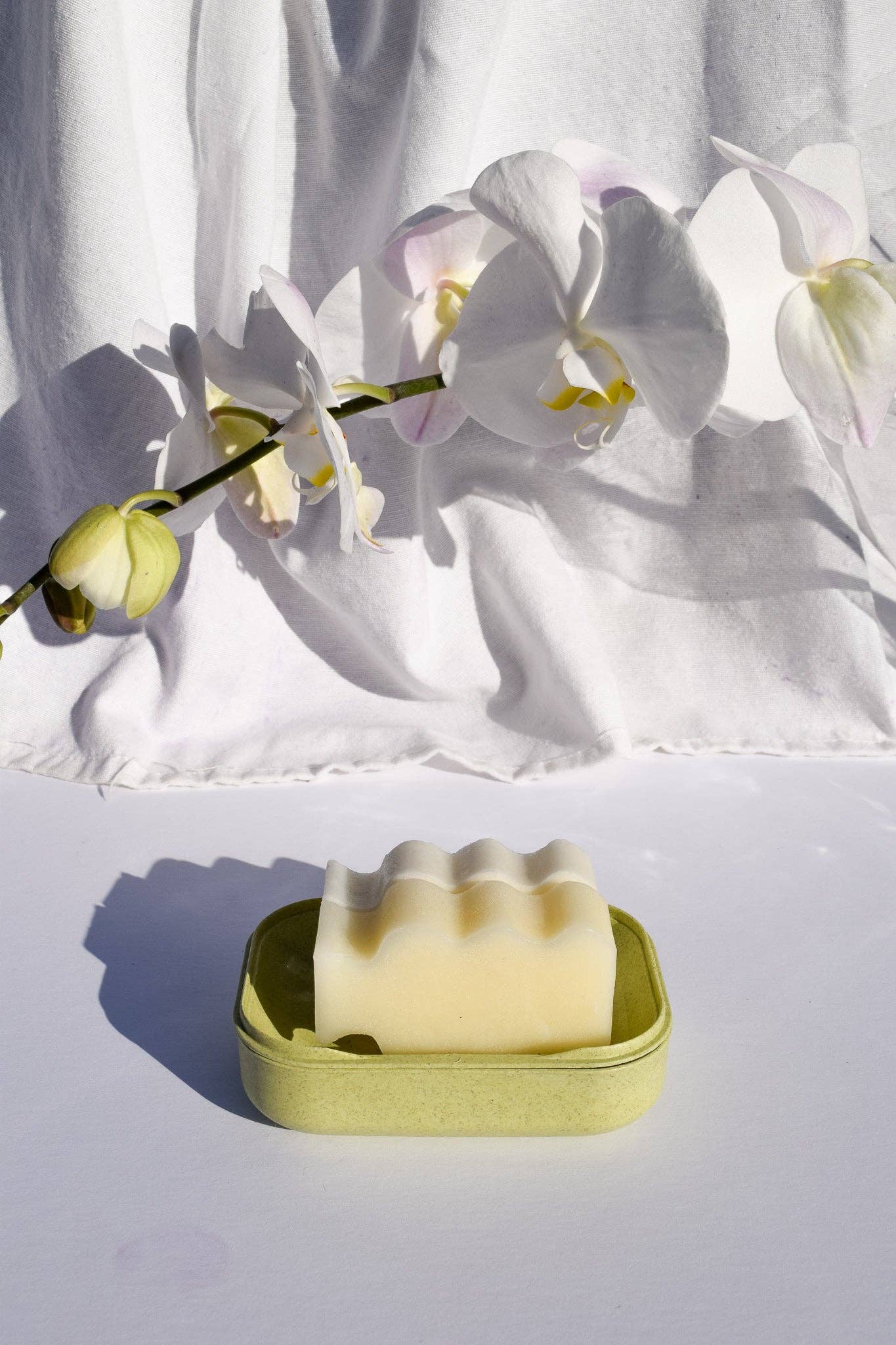 Biodegradable Soap Case: Coconut